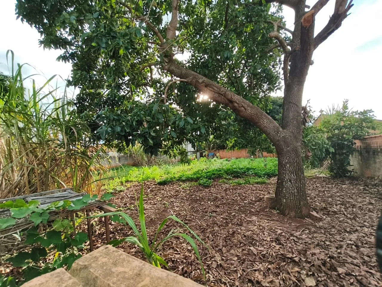 CASA À VENDA EM JABOTI/PR | 900m² DE TERRENO | 3 QUARTOS