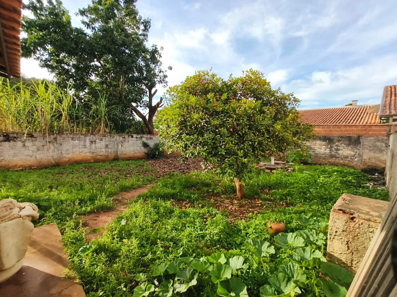 CASA À VENDA EM JABOTI/PR | 900m² DE TERRENO | 3 QUARTOS