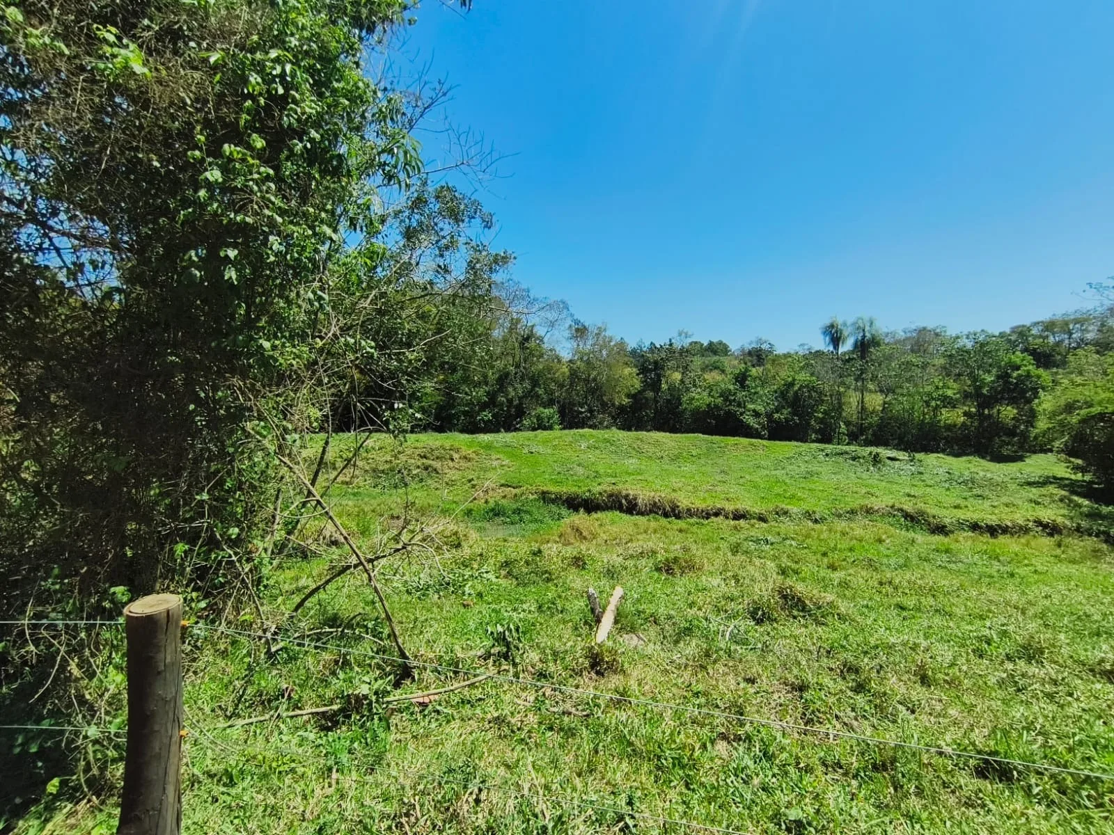  CHÁCARA À VENDA EM JABOTI/PR | 36.000 m² | RIBEIRÃO E PASTAGEM FORMADA