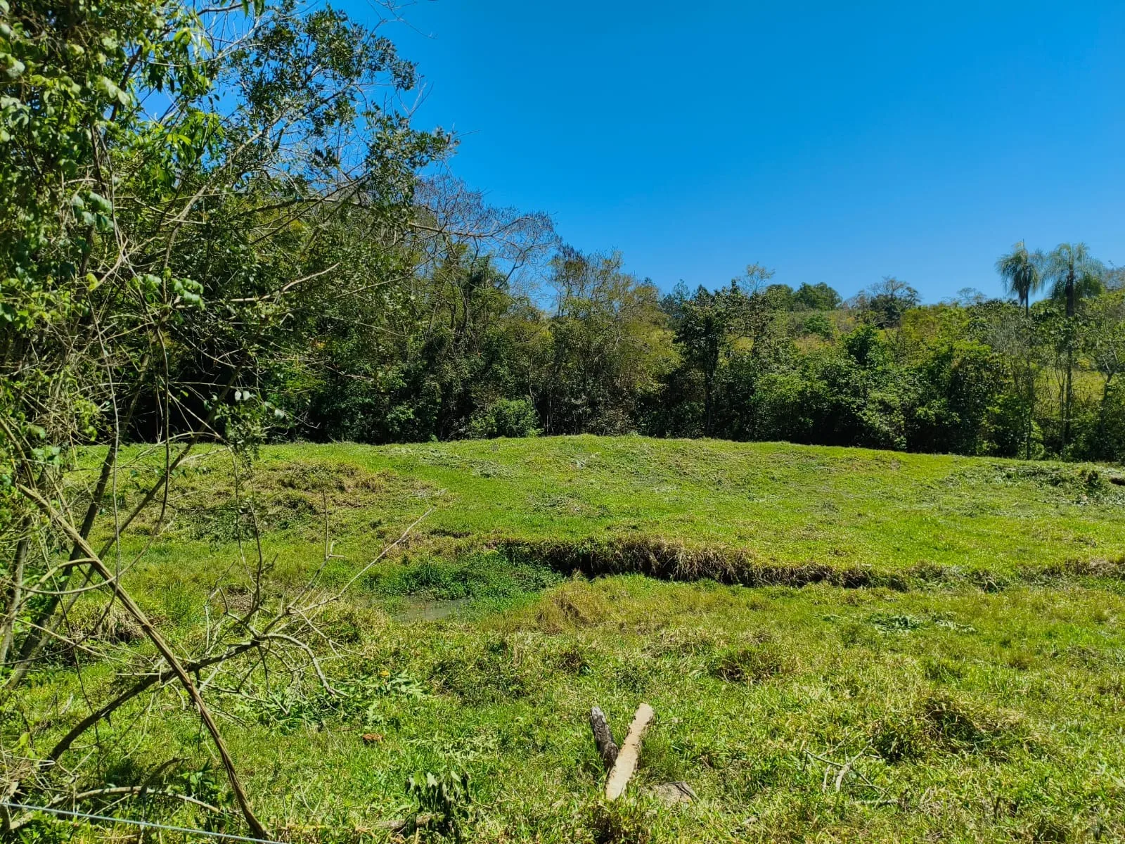  CHÁCARA À VENDA EM JABOTI/PR | 36.000 m² | RIBEIRÃO E PASTAGEM FORMADA