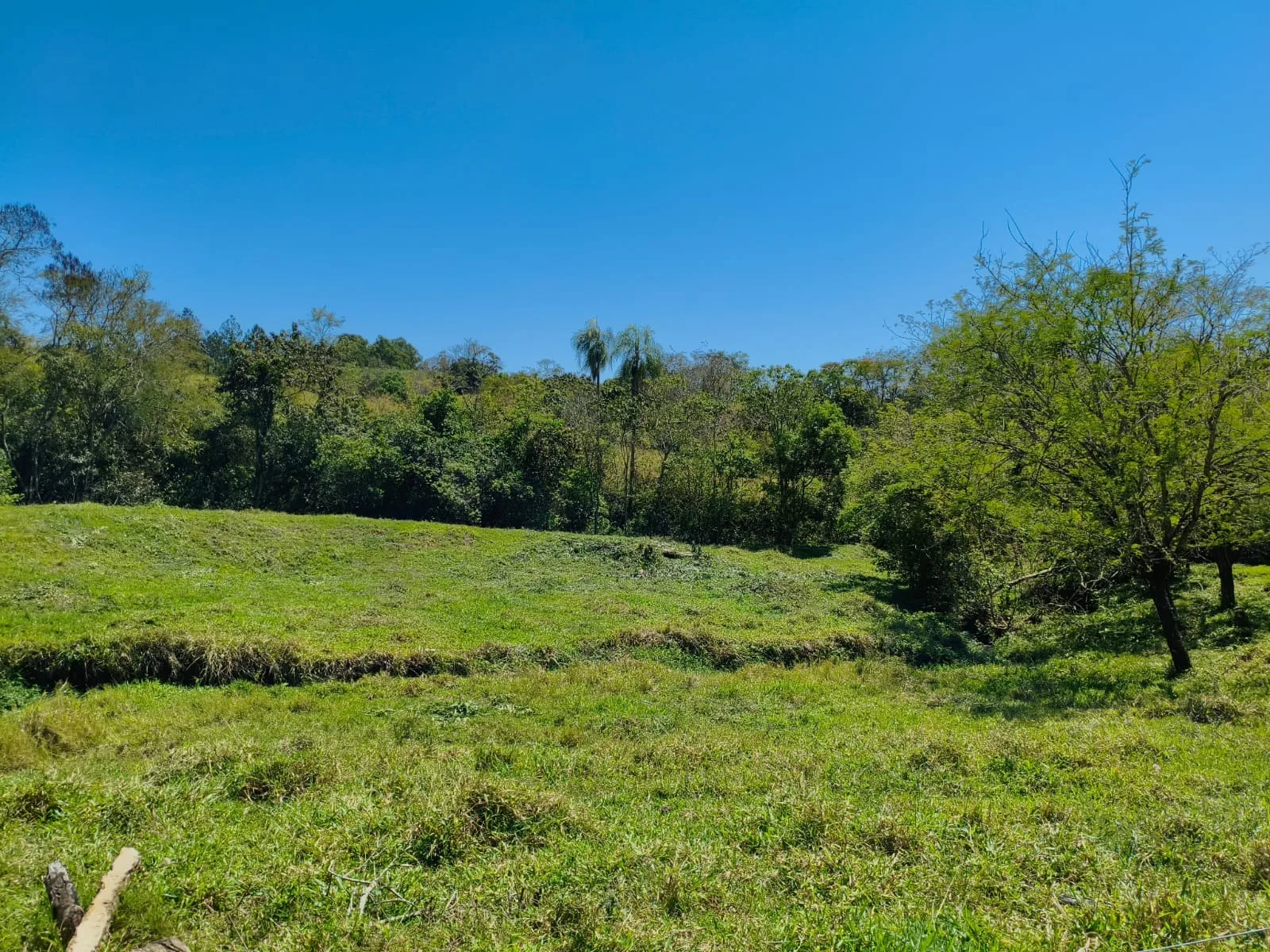  CHÁCARA À VENDA EM JABOTI/PR | 36.000 m² | RIBEIRÃO E PASTAGEM FORMADA