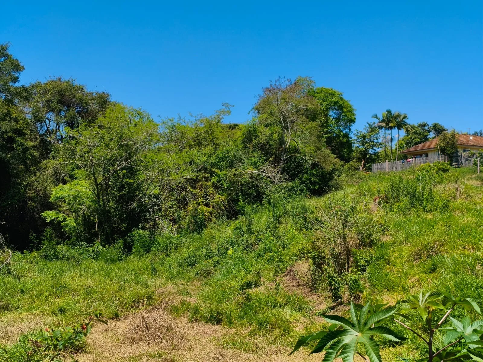  CHÁCARA À VENDA EM JABOTI/PR | 36.000 m² | RIBEIRÃO E PASTAGEM FORMADA