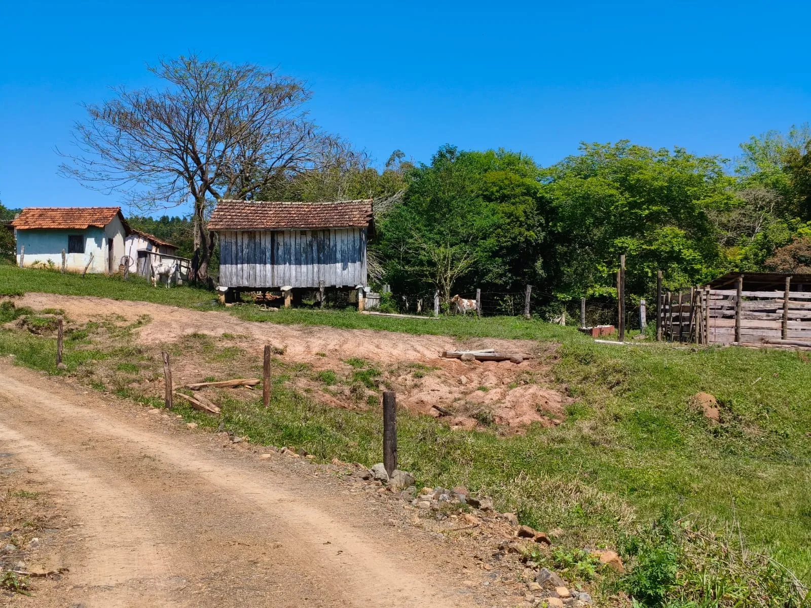  CHÁCARA À VENDA EM JABOTI/PR | 36.000 m² | RIBEIRÃO E PASTAGEM FORMADA