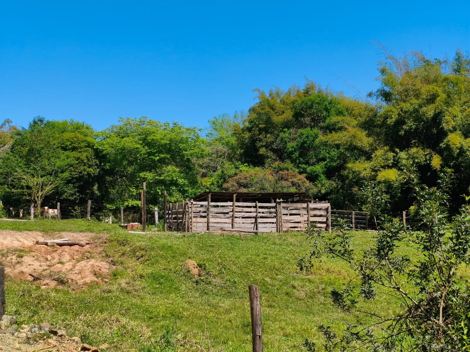  CHÁCARA À VENDA EM JABOTI/PR | 36.000 m² | RIBEIRÃO E PASTAGEM FORMADA
