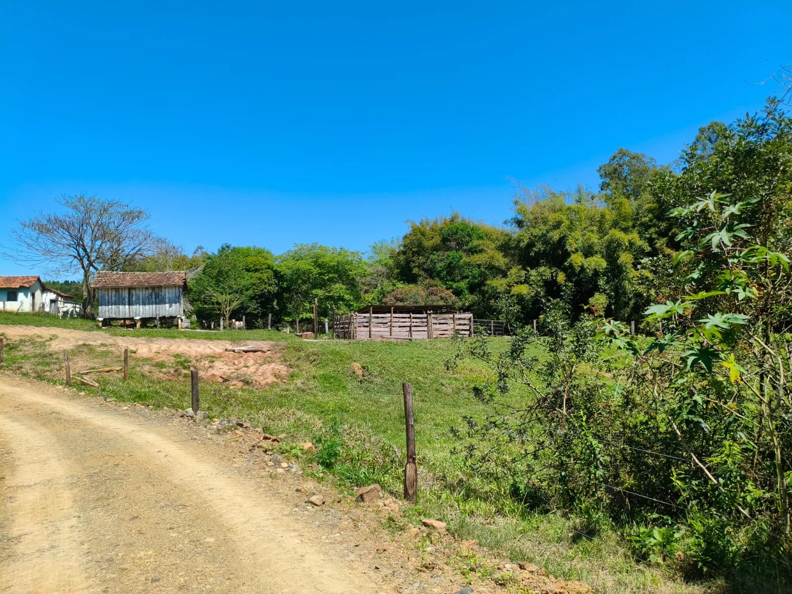  CHÁCARA À VENDA EM JABOTI/PR | 36.000 m² | RIBEIRÃO E PASTAGEM FORMADA