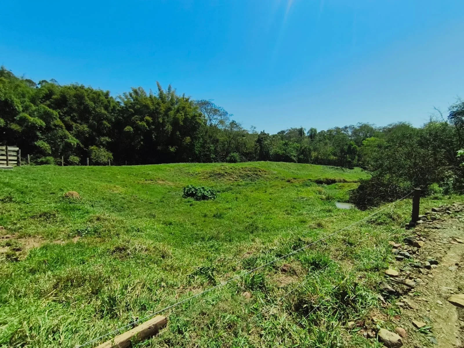  CHÁCARA À VENDA EM JABOTI/PR | 36.000 m² | RIBEIRÃO E PASTAGEM FORMADA