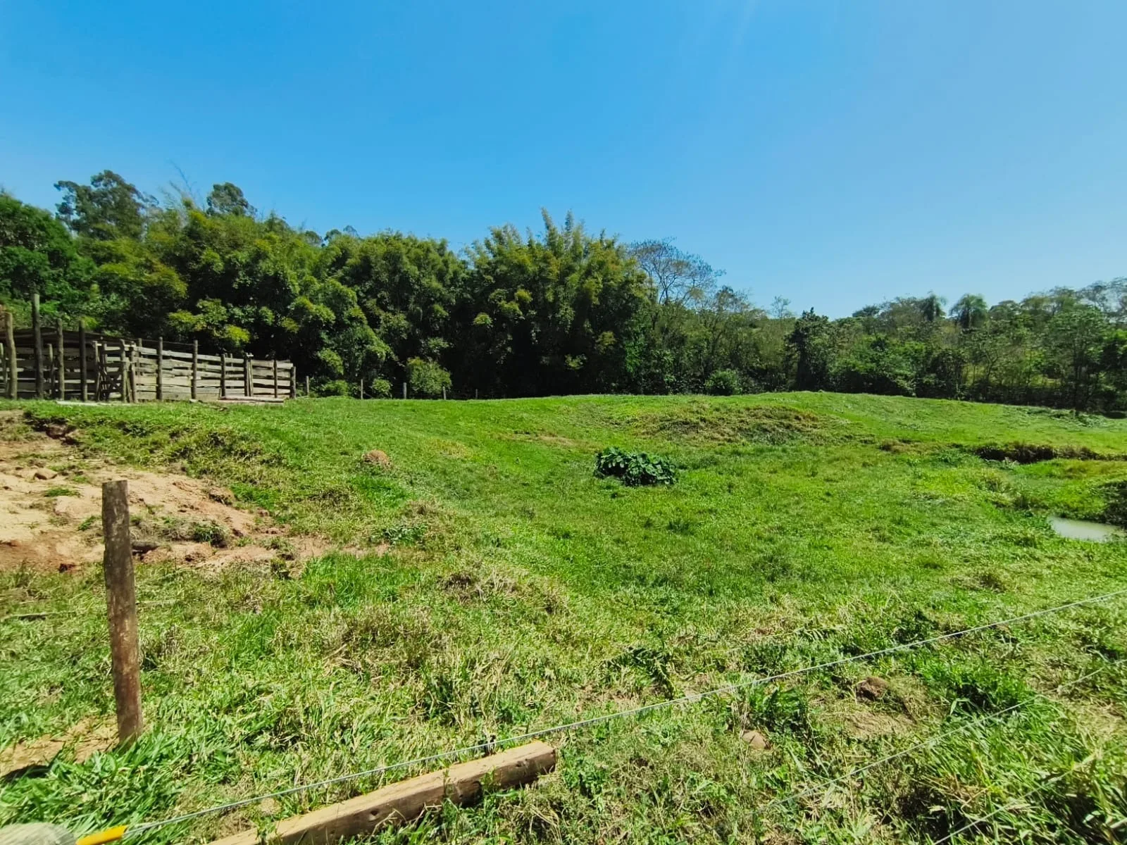  CHÁCARA À VENDA EM JABOTI/PR | 36.000 m² | RIBEIRÃO E PASTAGEM FORMADA